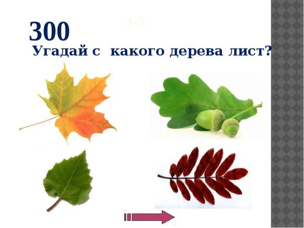 Дидактическая игра с какого дерева листочек