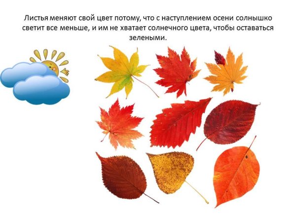 Признаки осени