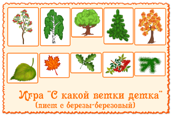 Дидактическая игра с какого дерева листочек