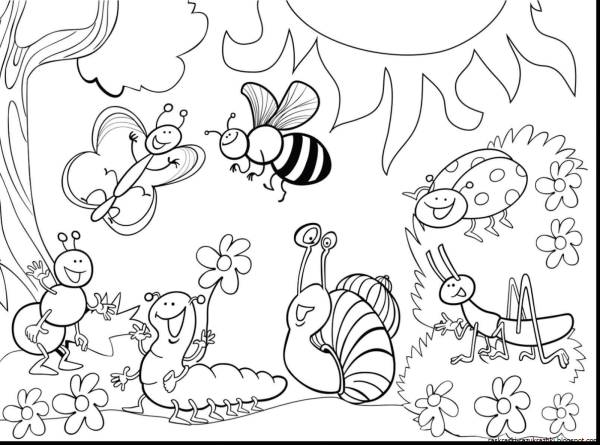 Насекомые раскраска для детей