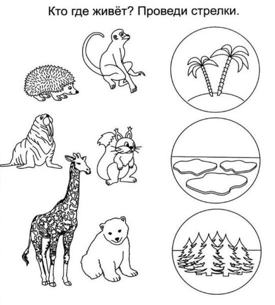 Задание для дошкольников 5 лет окружающий мир