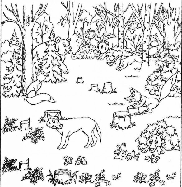 Животные задания для детей