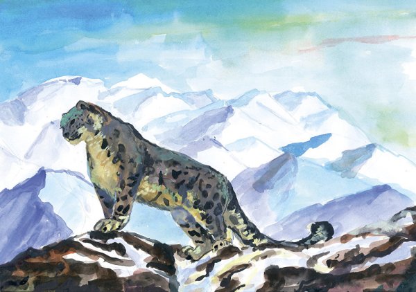 Картина снежный Барс в горах