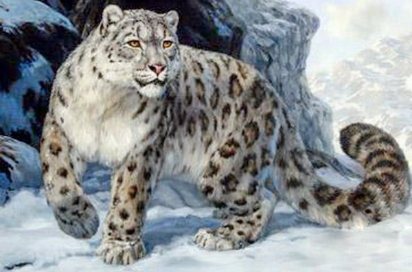 Снежный Барс картина Руссо