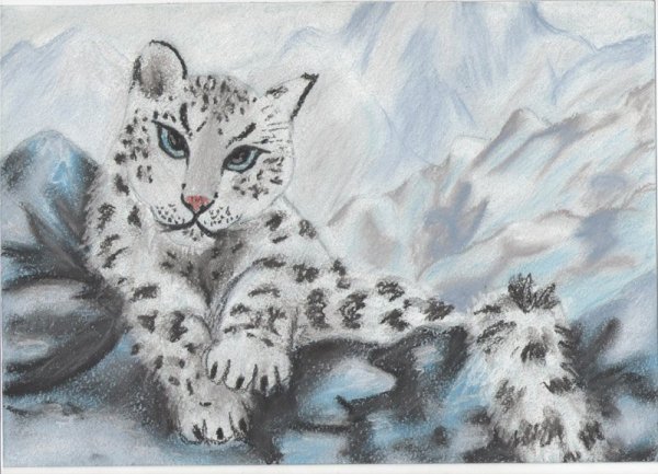 Чарушин снежный Барс