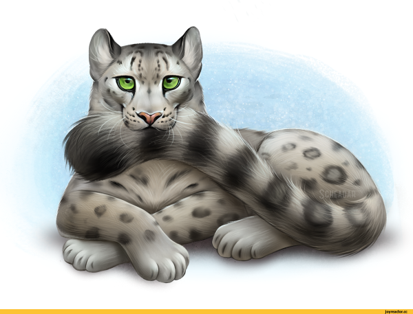 Снежный Барс рисунок