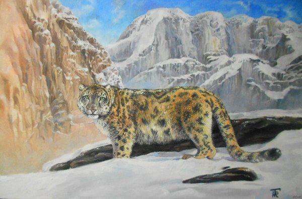 Снежный Барс Янина Орса