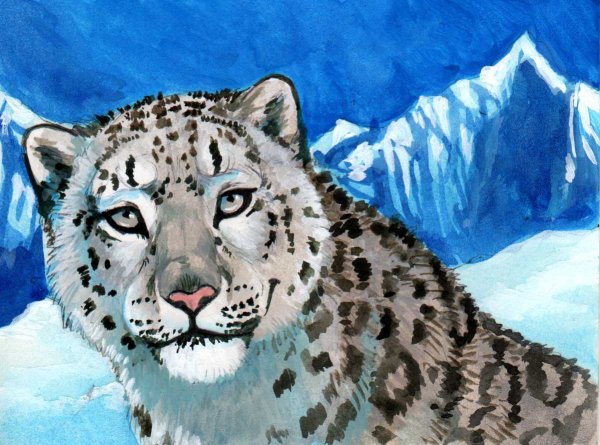 Снежный Барс рисовать