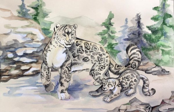 Чарушин снежный Барс