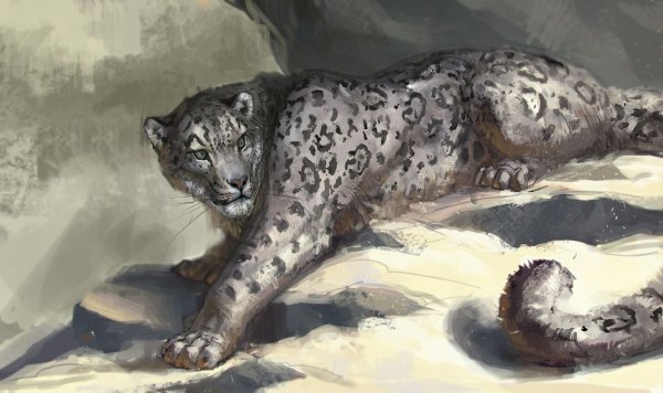 Пума и снежный Барс