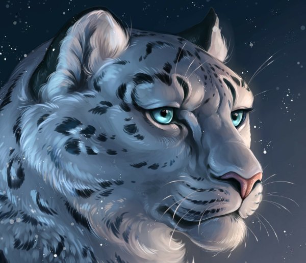 Табакси снежный Барс