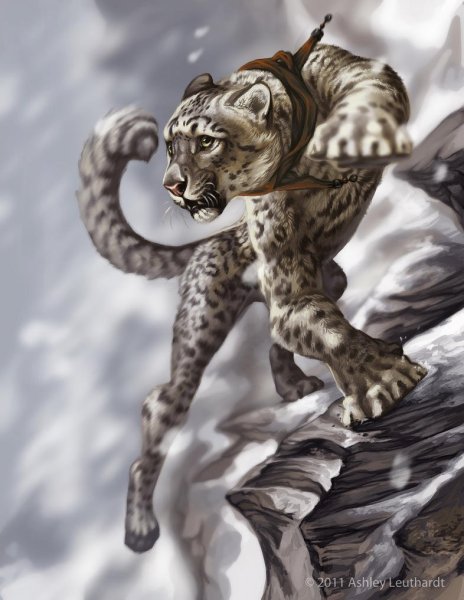 Снежный Барс референс