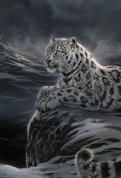 Снежный Барс и белый тигр