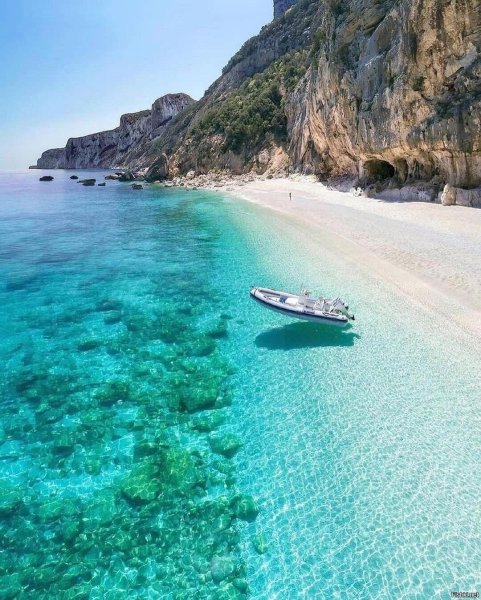 Сардиния (остров)