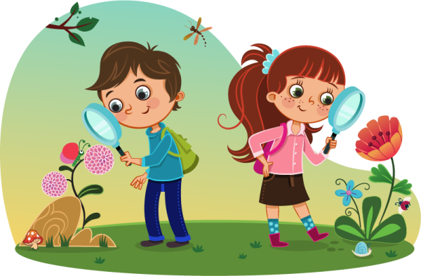 Дети наблюдают за природой