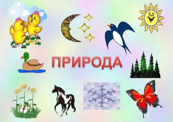 Живая природа для детей дошкольного возраста