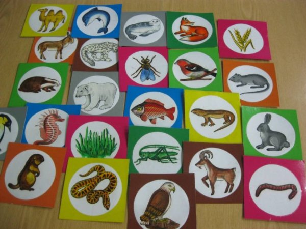 Дидактическое пособие по экологии