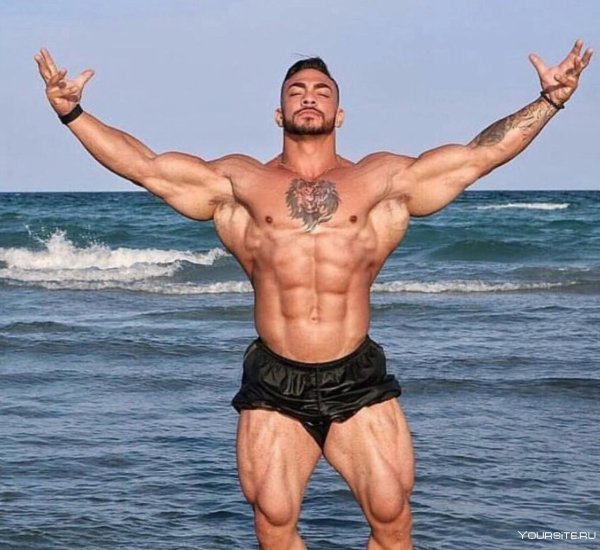 Качек Ефимчук качок Илья