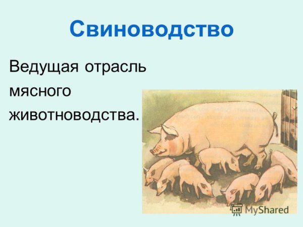 Животноводство. Отрасли животноводства - online presentation