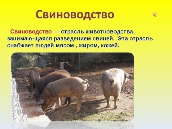 Отрасли животноводства
