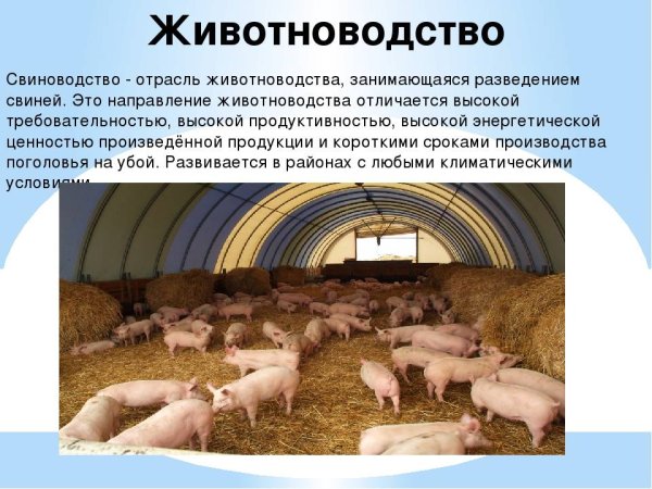 Отрасли животноводства