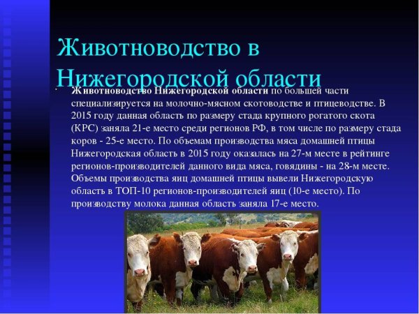 Животноводство в Нижегородской области