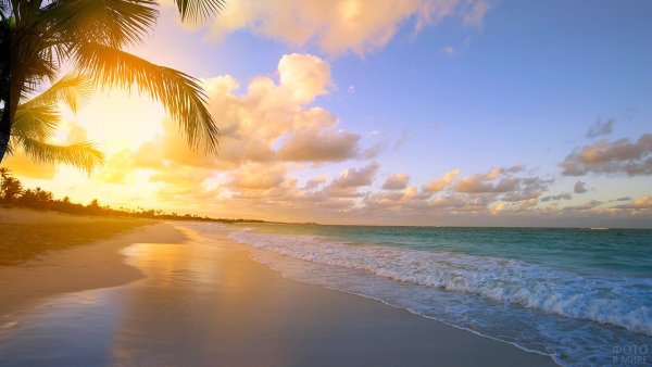 Рассвет на море пальмы