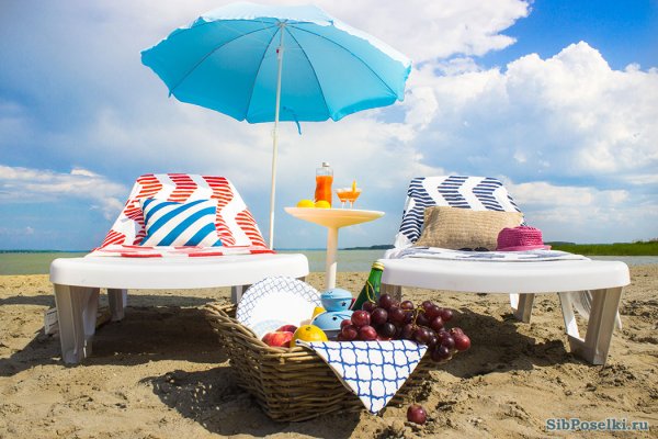 Пикник на берегу черного моря