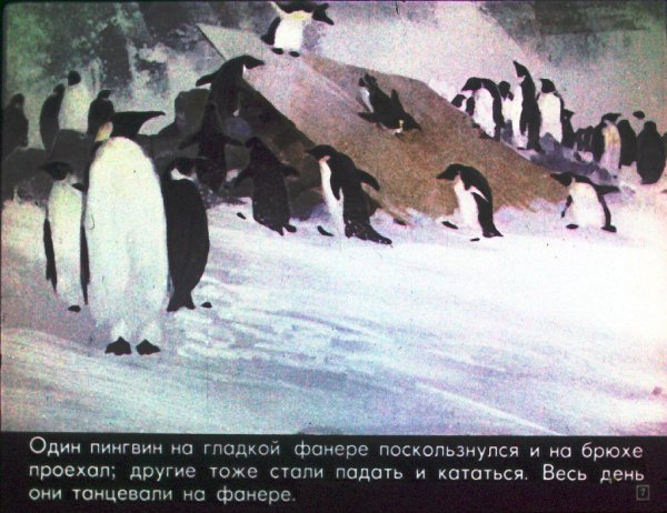 Книги Художественные о пингвинах