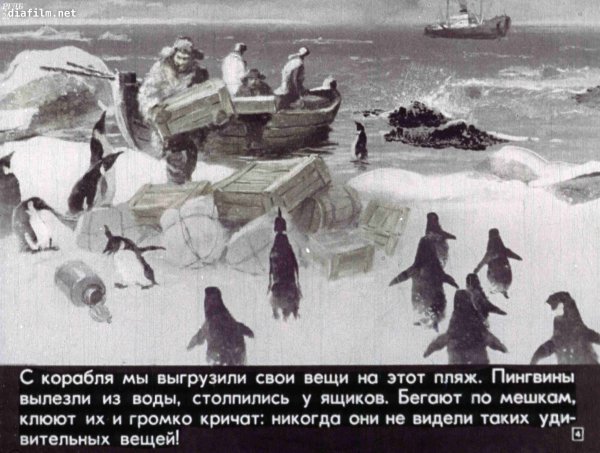 Геннадий Снегирев рассказы про пингвинов