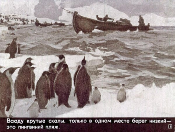 Снегирёв Геннадий Яковлевич Пингвинни пляж