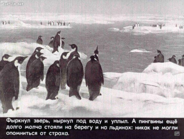 Г Снегирева про пингвинов