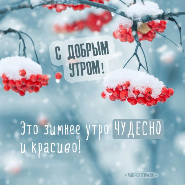 Доброе Снежное утроутро