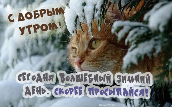 Доброе Снежное утречко