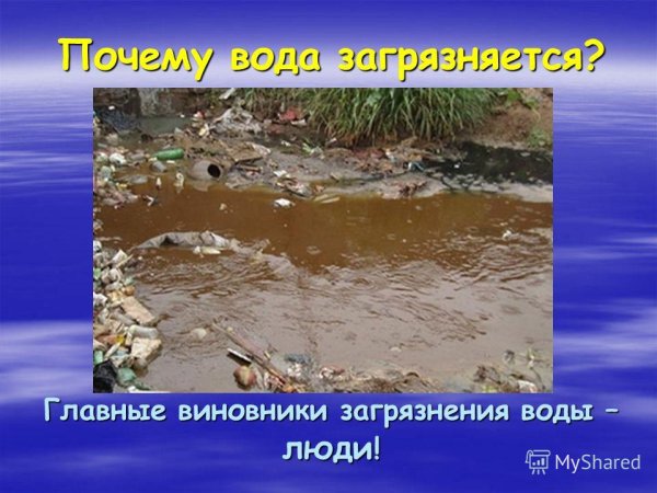 Загрязнение воды берегите воду