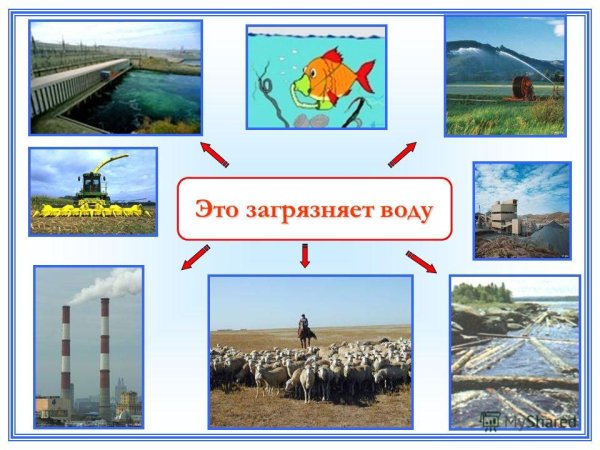 Загрязнение воды окружающий мир
