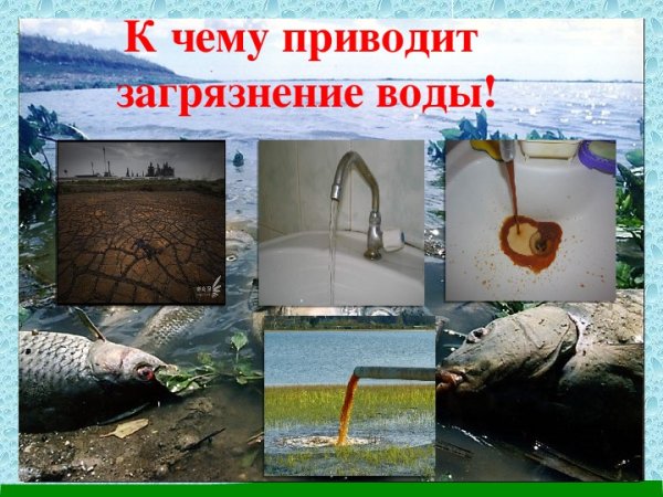 Процесс загрязнения воды