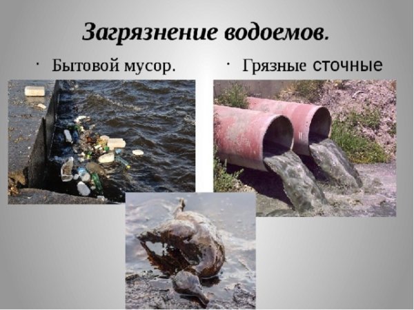 Причины загрязнения водоемов