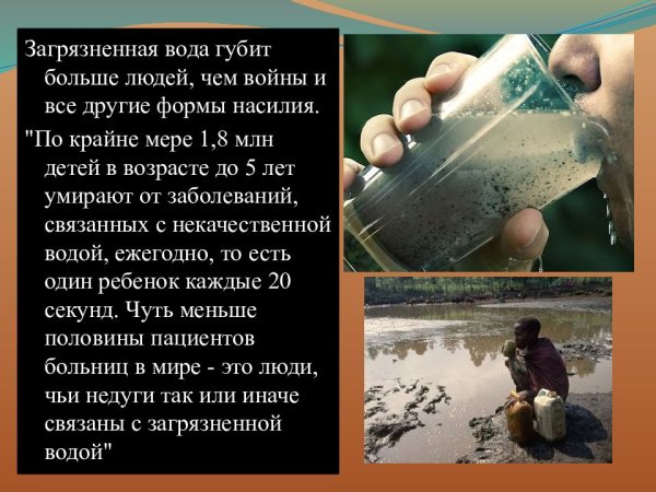 Влияние загрязнения воды