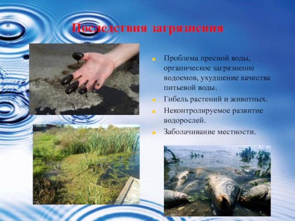 Посдствия загрязнения водоёмов