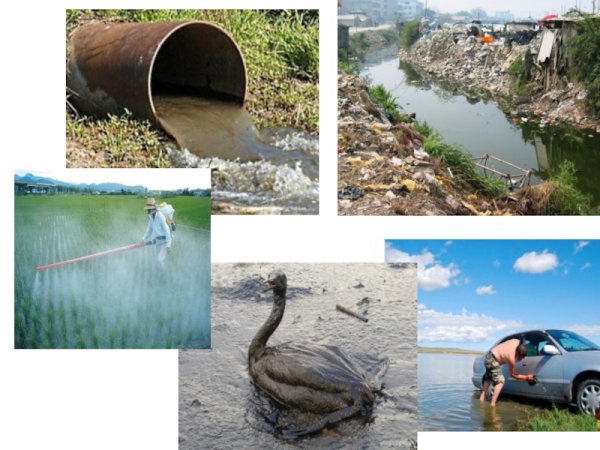 Источники загрязнения воды