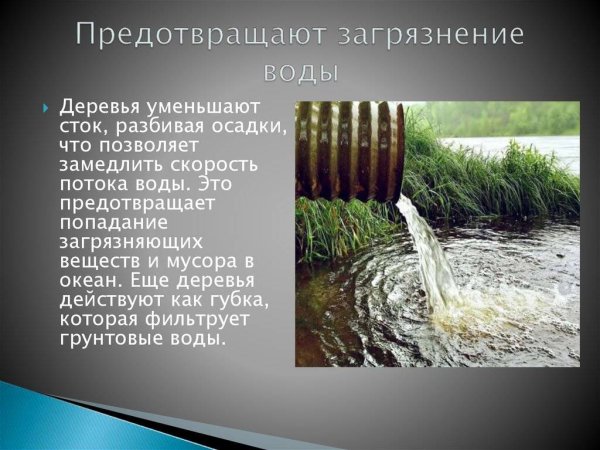 Профилактика загрязнения воды