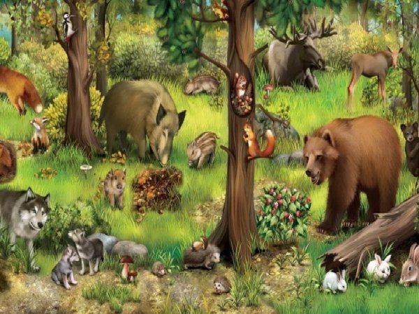 Лесные обитатели для детей