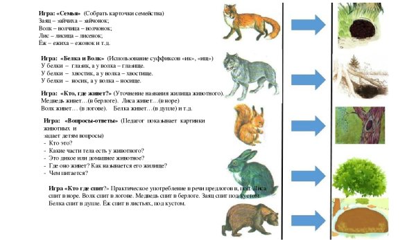 Лексическая тема Дикие животные