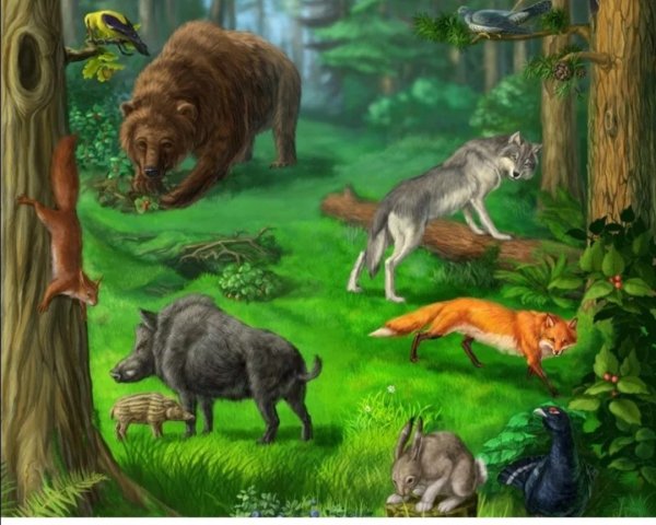 Лес с дикими животными