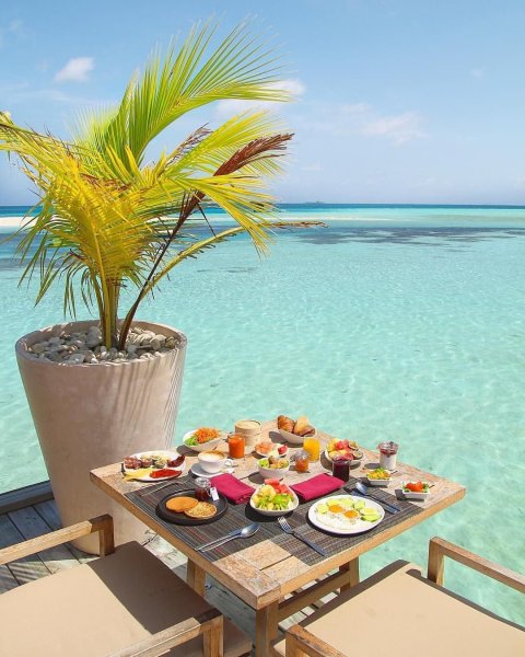 Завтрак на пляже