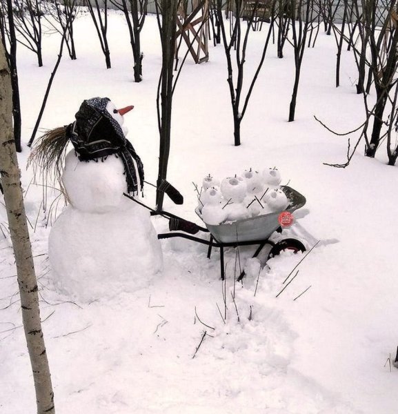 Зимние приколы