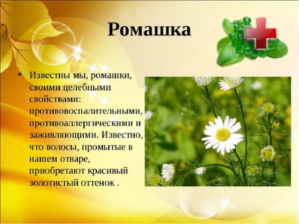 Лекарственные растения