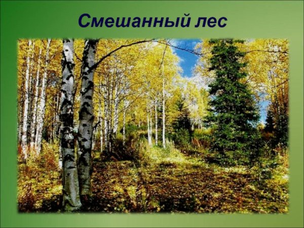 Народы смешанных лесов