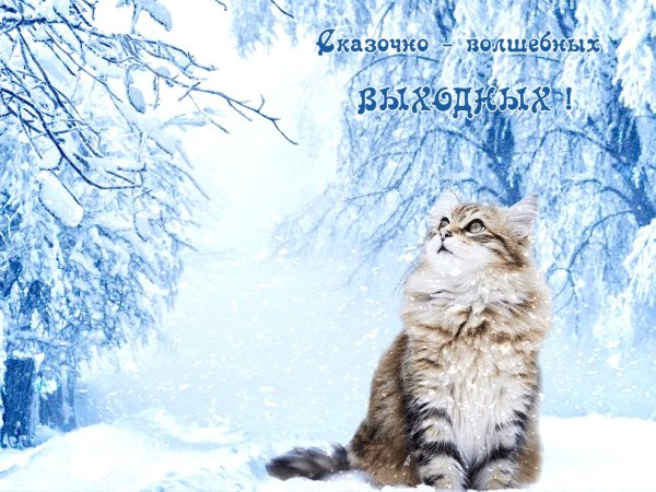 Хороших выходных зима